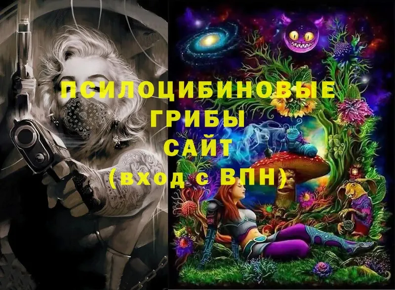 купить закладку  Боровск  Псилоцибиновые грибы MAGIC MUSHROOMS 